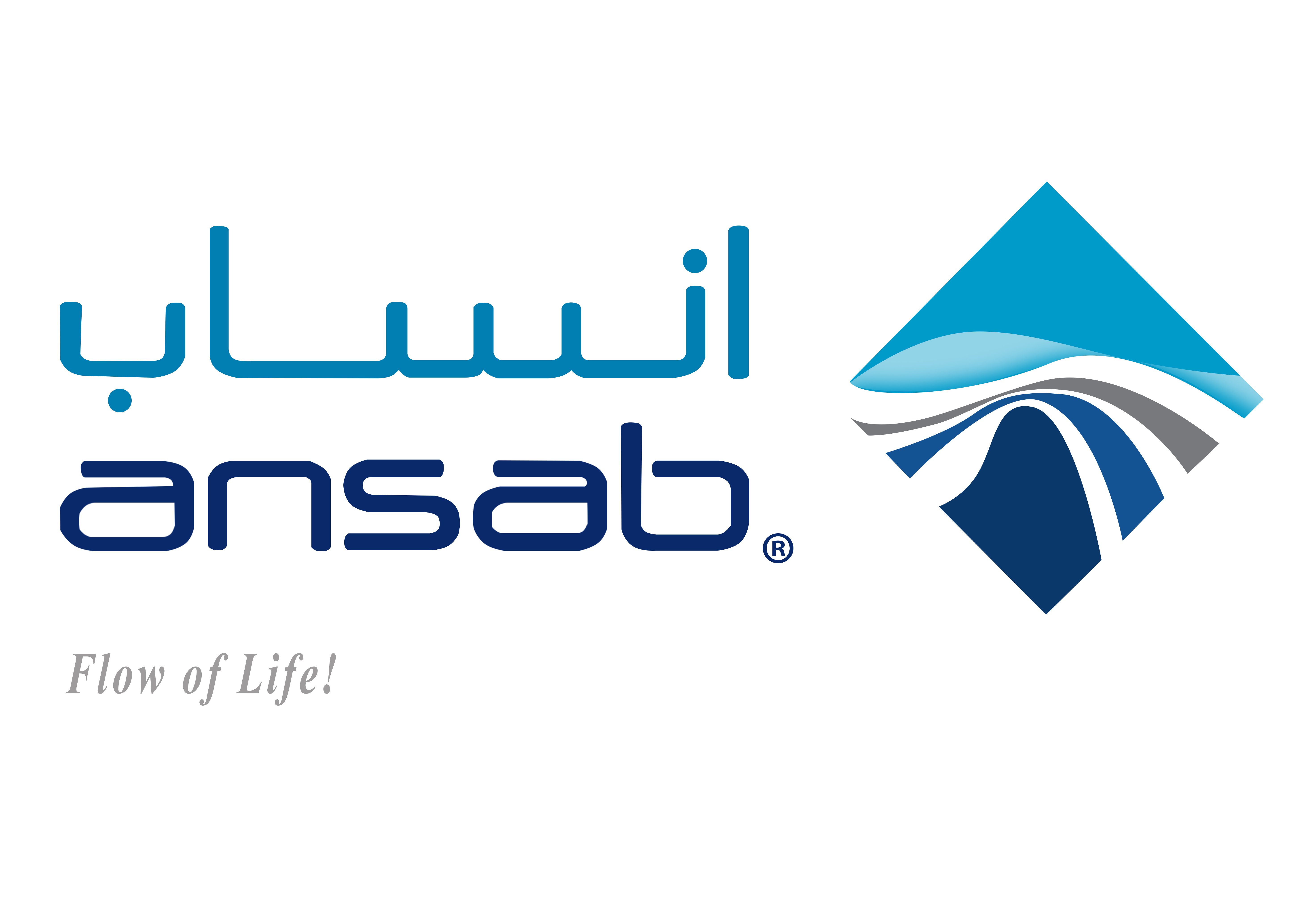 شركة انساب للمقاولات العامة