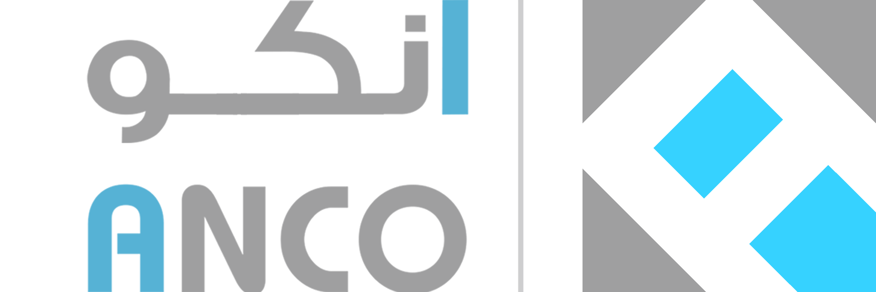 شركة ندارات العربية للتجارة والمقاولات العامة